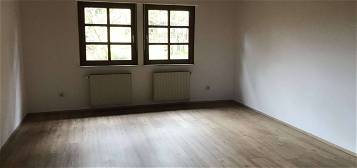 Renovierte 1,5-Zimmer-Wohnung in Fürholzen