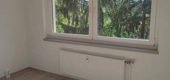 frisch renovierte 2-Raum Wohnung mit Balkon