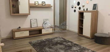 Apartament 1 Camera -Zona Tudor Vladimirescu - (Complex Conest Grand R