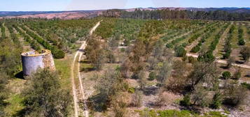 Herdade da Boavista