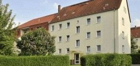 schöne 3-Raum-Wohnung in Planitz