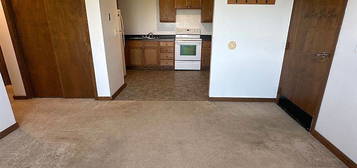 BK-Southside Apartment, 417 6th Ave S #C4, Ellendale, ND 58436