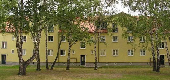 Im grünen Stadtteil Görden zu Hause: 2 Zimmer, Badewanne