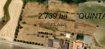 Quinta 2,7 ha | 5 Km de Beja