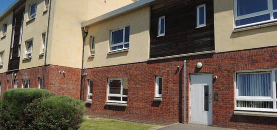 2 bed flat to rent