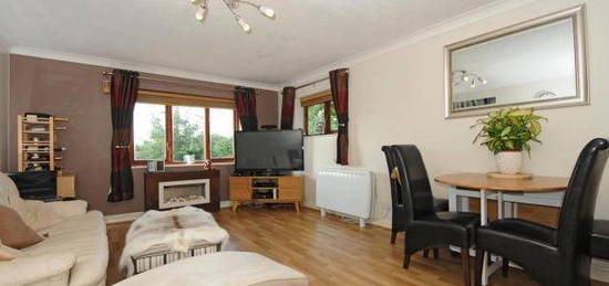 3 bed flat to rent