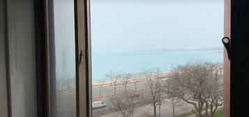 1300 N  Lakeshore Dr #1309, Chicago, IL 60657