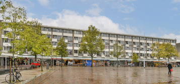 Sierplein 69