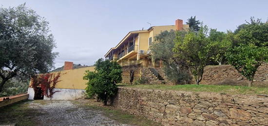 Quinta de 12 hectares com vistas para o rio Douro