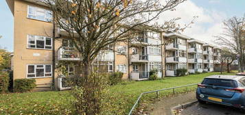 3 bed flat to rent