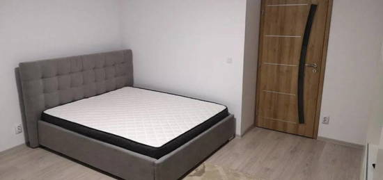 APARTAMENT 1 CAMERA, DECOMANDAT, RENOVAT, BLOC CU LIFT, PACU