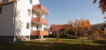 Modernisierte 3 Zimmer Wohnung mit Balkon, Keller und Stellplatz in Nörten-Hardenberg!