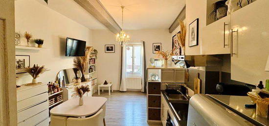 T3 avec charme 53m2 (48m2 Carrez) Oullins Centre – Salon, 2 CH, WC, Salle d'eau / Cave 179 900 (Possibilité Loc 850/mois ou Loc Courte Durée) - DPE D