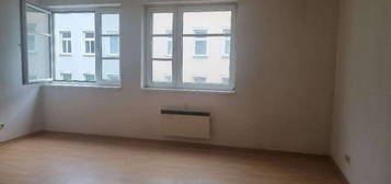 30 m² Singlewohnung Nähe Kudlichgasse