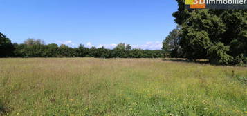 Proche Pierre de Bresse vends  ancienne ferme Bressane de 5 pièces, 125m² habitable avec de nombreuses dépendances sur terrain de 6650 m²