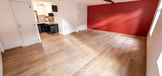 Appartement T1 34m² entièrement rénové en plein centre-ville