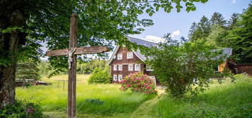 Historisches Schwarzwaldhaus im Grünen