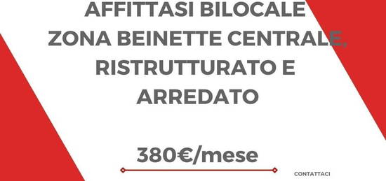 Bilocale in affitto a Beinette