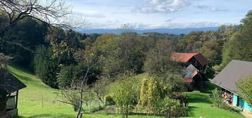 Landwirtschaft in absoluter Ruhe- und Alleinlage Nähe St. Johann im Saggautal (Steirische Toskana)