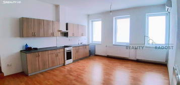 Pronájem bytu 3+1 150 m²