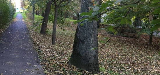 Mezőtúron zöldövezetben társas házi lakás eladó