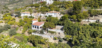 Canillas de Albaida