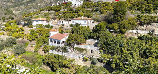 Canillas de Albaida