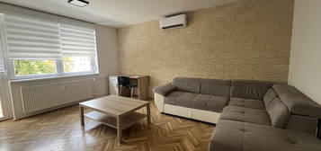 Egyetemváros, Pécs, ingatlan, kiadó, lakás, 54 m2