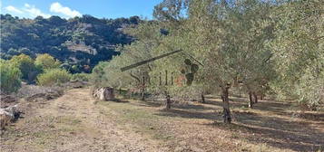 Rustico e casale in vendita a Puntarazzi - Donnafugata