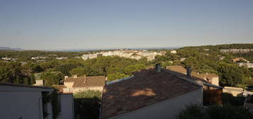 Appartement / haut de villa au haut sartoux avec vue mer et 2 terrasses