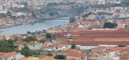 Arrendamento de Estúdio T0  na rua Manuel da Silva Cruz