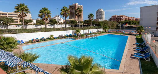 T1 remodelado com piscina - Arrendamento até Maio