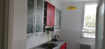Újszeged, Szeged, ingatlan, kiadó, lakás, 15 m2