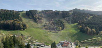 Studio face aux pistes au Balcon de Villard