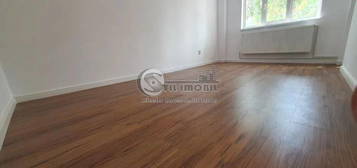 Apartament 1 camera Alexandru  Cel Bun 24mp Renovat  Mutarea Imediata