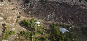 KORKUTEL YELEME MAH. 1.000 M2 KONTEYIRLI HOB BAHES