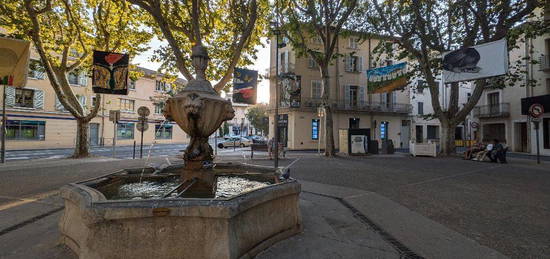 Magnifique T2 de 50m2 - Refait à neuf dans le plus beau quartier de Carpentras