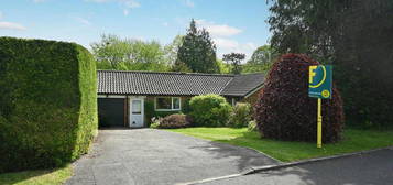 3 bedroom bungalow to rent