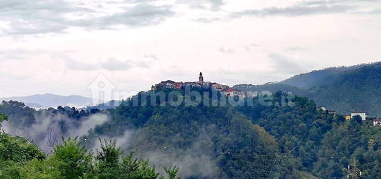 Terratetto unifamiliare via Campo, L'ago, Borghetto di Vara