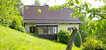 Prodej, chalupa, pozemek 1323 m2, Borušov