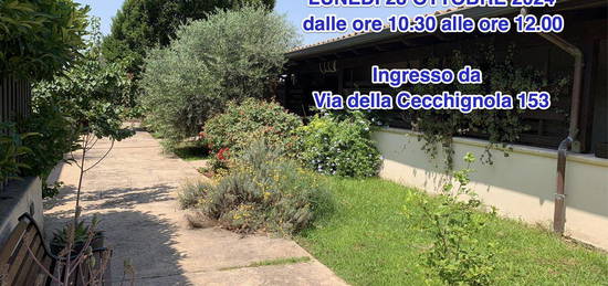 Villa a schiera Roma [L13/24ARG] (Laurentino)