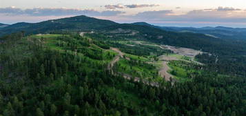 Lot 146 Deer Mountain Resort, Lead, SD 57754