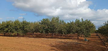 Casa rural en Torreblanca