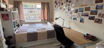 Housemate wanted in student home vaartbroek