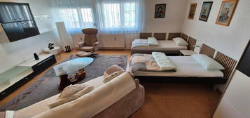 1 Zimmer Apartment 50qm Ferienwohnung