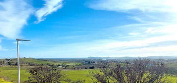 Pineta villetta caposchiera panoramica