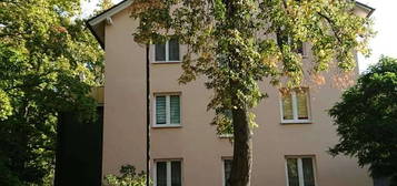 Singel 1 Raum-Apartment mit EBK in der Kurstadt Bad Lausick