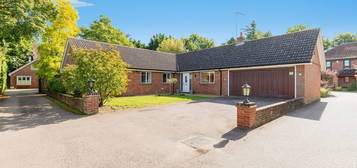 Detached bungalow for sale in Hollydell, Morgans Road, Hertford SG13