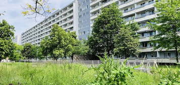 Erstbezug nach Renovierung - Wohnung mit großen Balkon !  "Bezugsfertig ab Dezember"