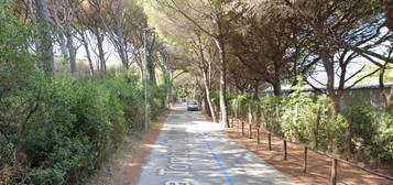 Trilocale viale della Vittoria, Marina di Cecina, Cecina